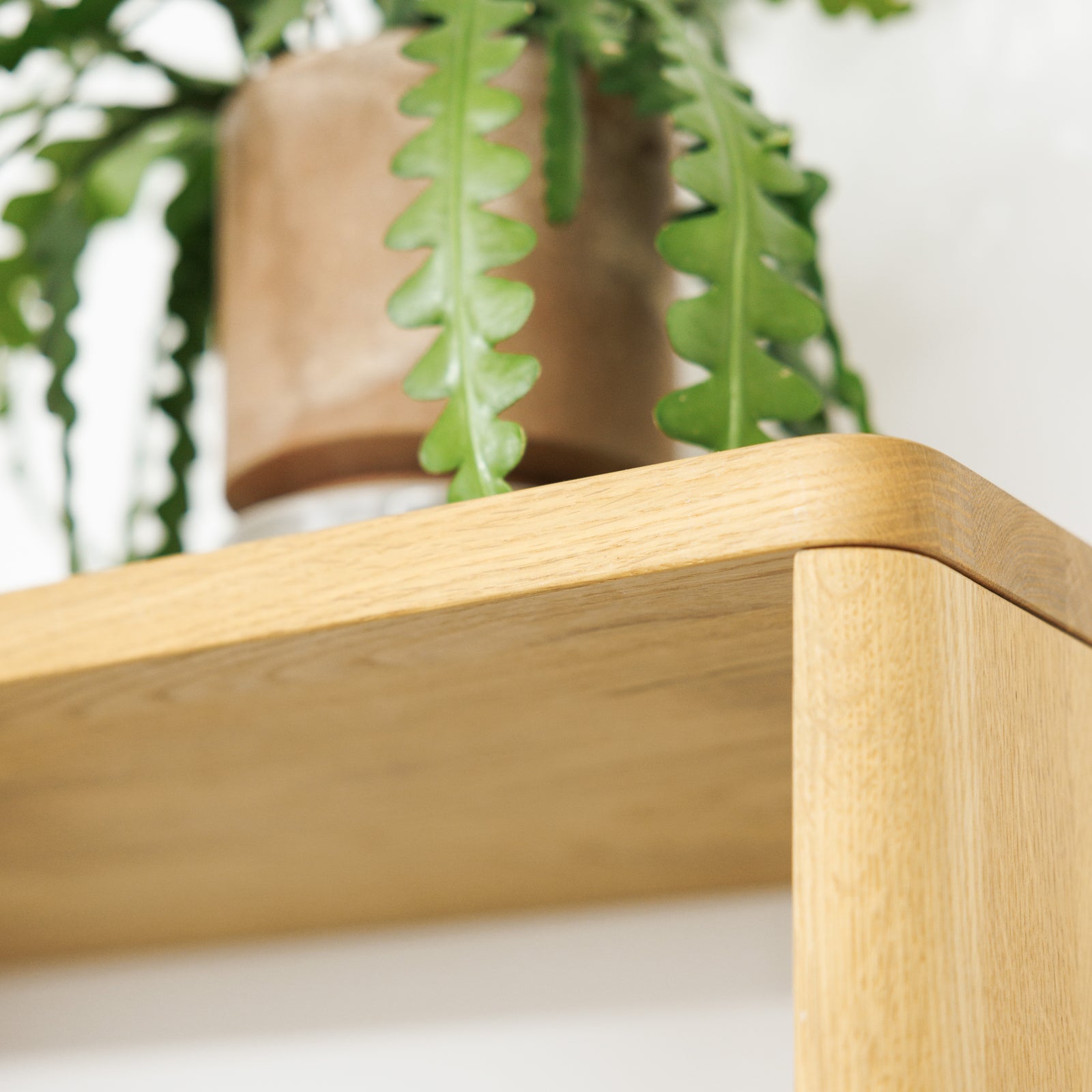 Robustes ökologisches Wandregal Neukölln M aus Massivholz mit runden Ecken