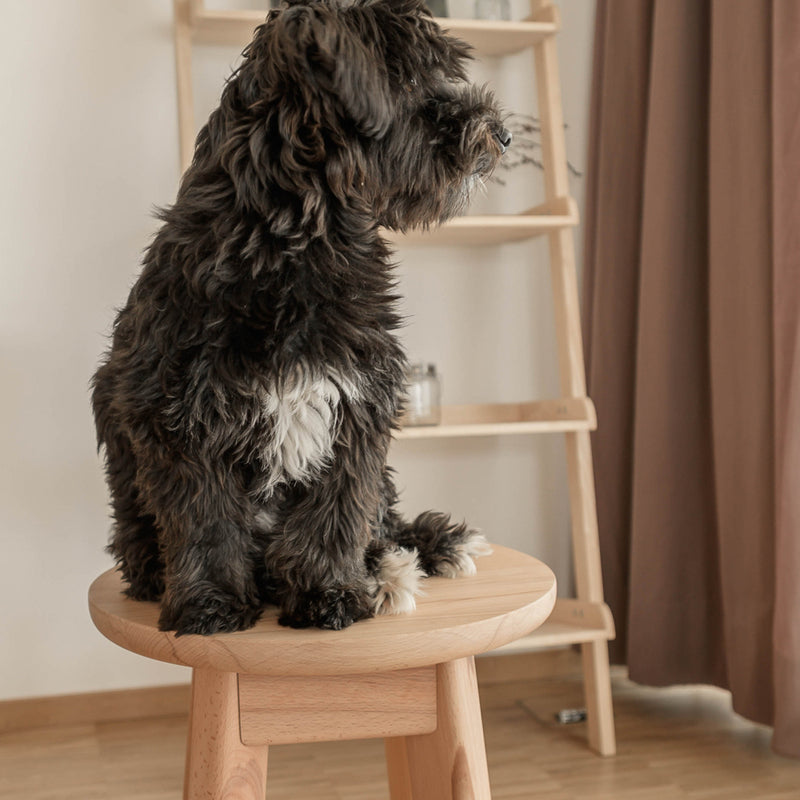 Stabiler Hocker aus Buche