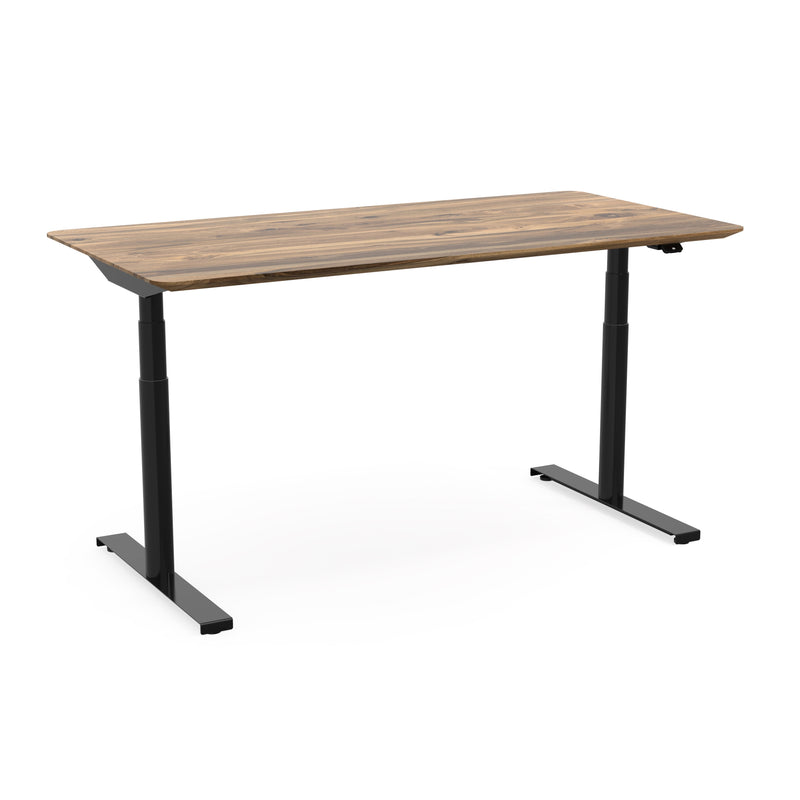 zeitloser ergonomischer höhenverstellbarer Schreibtisch Levi schwarzes Gestell mit individueller Naturholz Tischplatte  aus nachhaltig geölter Walnuss 