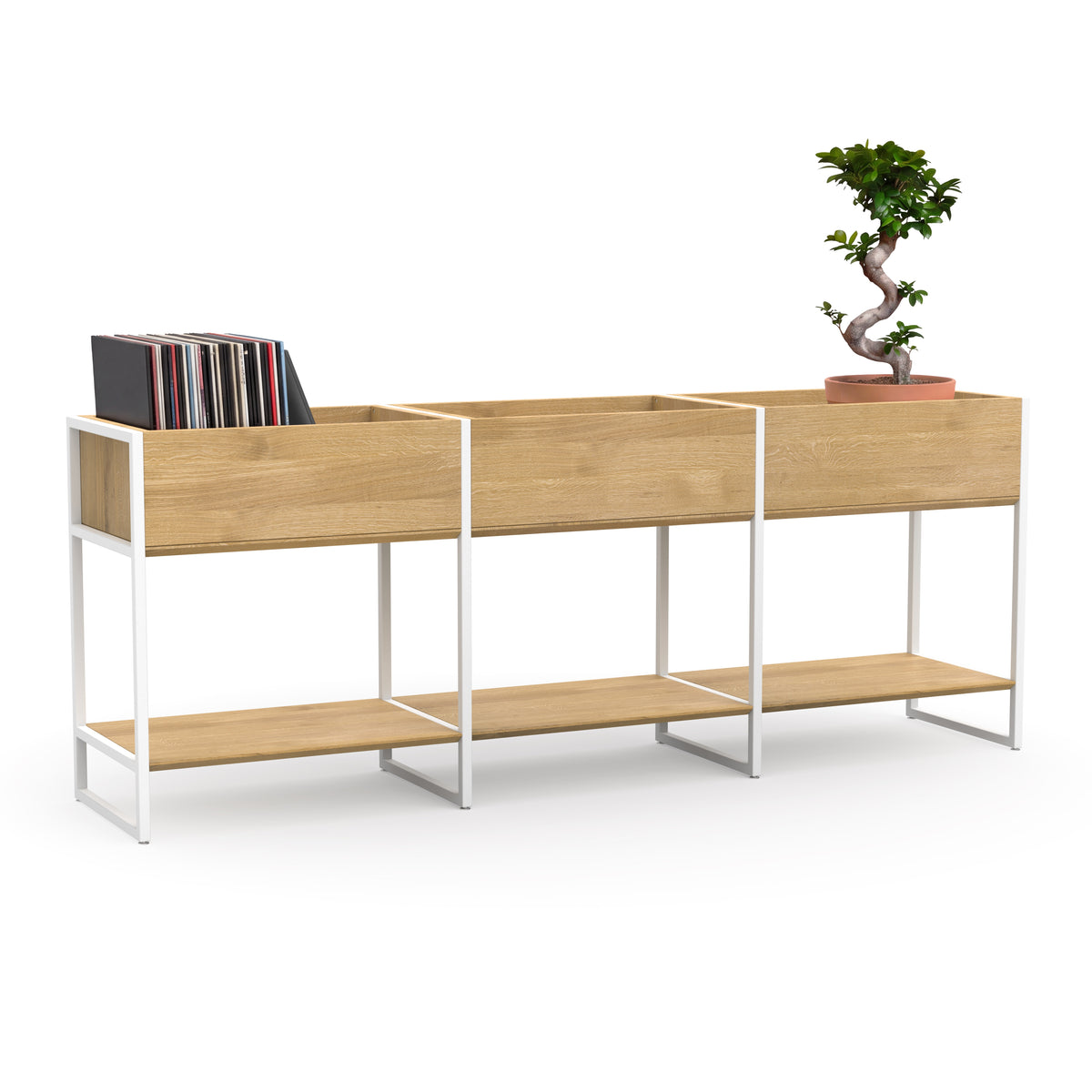Regal mit Boxen zur aufbewahrung und Präsentation von Vinyl, Büchern, Bildbänden und Pflanzen. 